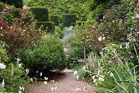 A path bordered by cottage style mixed border planting and yew topiary