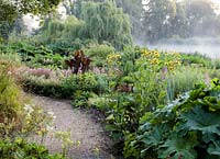 Bog garden with: Inula hookeri, Astilbe chinensis and Gunnera manicata, gravel path 