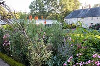 The walled kitchen garden edged with flowers for cutting and display including Lathyrus odoratus -sweetpeas, Malva moschata - musk mallow, and Kniphofia uvaria - red hot pokers.  