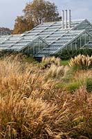 Looking across bed of ornamental grasses to The Princess Of Wales Conservatory 