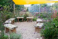 Late summer planting around seating area under sail awning - Sedlescombe Primary School, Sussex