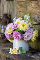 Rosa - English Shrub Rose - cut flowers in an old ceramic pot