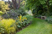 This shady part of the garden at Mill House is planted with grasses, Carex elata 'Aurea' and Miscanthus sinensis 'Kleine Fontaine' as well as Sambucus nigra f. porphyrophylla 'Eva' and Ligularia 'The Rocket'