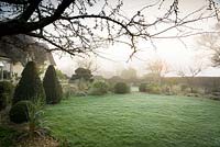 Circular lawn surrounded by borders, clipped yews, cloud pruned Luma apiculata and box on a misty March morning