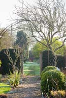 Gravel path leading through a yew hedge to the meadow in March
