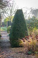 Clipped yew pyramids with sedums and Pheasant grass in the foreground in March