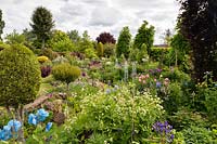 Overview of garden with flowers beds and conifers, in foreground Meconopsis and Silene fimbriata