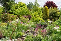 Dense planting including perennials, bulbs, alpines and trees, in foreround rockery 