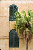 Palm tree and old stone wall with painted green wooden arched windows, Garden of the 