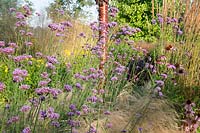Colourful late summer prarie border with Verbena bonariensis at Laskey Farm, Cheshire