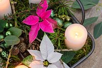 Detail of metal tray advent arrangement with white pillar candles, poinsettia flowers. cones, moss and baubles