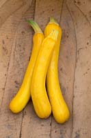 Yellow Courgette on table