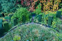 View onto a wild garden with clipped Taxus baccata - Yew - columns and Vitis coignetiae - Crimson Glory Vine - growing over trees
