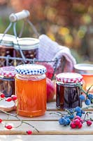 Selection of jams and jellys in Autumn with hedgerow berries