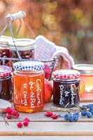 Selection of jams and jellys in Autumn with hedgerow berries - with french labels