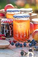 Selection of jams and jellys in Autumn with hedgerow berries - French labels