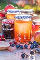Selection of jams and jellys in Autumn with hedgerow berries - with German labels