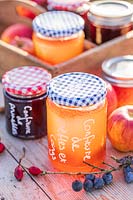 Selection of jams and jellys in Autumn with hedgerow berries - with French labels