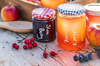 Selection of jams and jellys in Autumn with hedgerow berries - with English labels