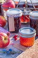 Selection of jams and jellys in Autumn with apples - French labels