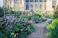 The Stumpery garden in spring, with decorative sculptural logs and hellebores, Euphorbia, Primula, Muscari and tulips. Arundel Castle, West Sussex, UK. 