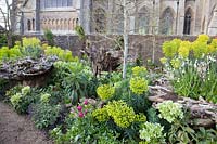 Colourful spring planting in the Stumpery Garden, Arundel Castle, West Sussex, UK.

 