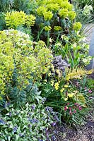 Pretty spring planting combination of Pulmonaria, ferns, Narcissus, Tulipa and Euphorbia. The Stumpery Garden, Arundel Castle, West Sussex, UK. 