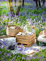 Picnic set out in Bluebell wood in Spring with cushions, blankets, wooden boxes, baskets and food