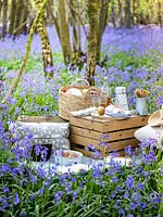 Picnic set out in Bluebell wood, with cushions, blankets, wooden boxes, baskets and food.
