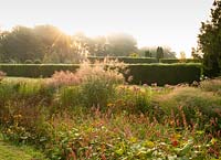 Persicaria affinis and Stipa giganta at sunrise at Waterperry Gardens, Waterperry, Wheatley, Oxfordshire, UK. 