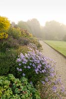 Asters and Solidago 'Golden Wings' in the herbaceous border at Waterperry Gardens, Waterperry, Wheatley, Oxfordshire