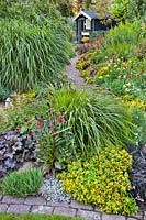 Mixed borders with ornamental grasses, perennials and flowers, with shed in the background. 
