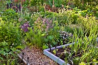 Raised beds planted with mixed herbs and vegetables in enclosed kitchen garden.
