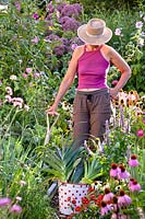 Woman harvesting leeks