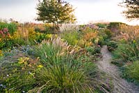 Gravel path leading through mixed borders with perennials and grasses in late summer. 
