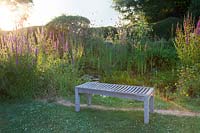 Wooden bench in wild area alongside pond with grasses and Lythrum loosestrife