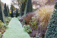 The Yew Walk on a frosty December morning. Planting includes: clipped yew pyramids 'Taxus baccata' Miscanthus 'Morning Light', Bergenias, roses and a range of herbaceous perennials such as Phlox paniculata, Penstemons, Lysimachia ephemerum and Leucanthemum superbum