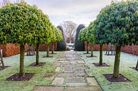 The Old Garden on a frosty December morning. Planting includes: clipped Portuguese Laurels 'Prunus lusitanica' bordered by a beech hedge 'Fagus'.