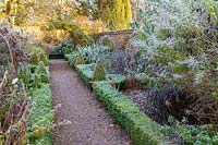 The Long Walk at Wollerton Old Hall Garden, Shropshire - Rosa 'Crimson Showers, Buddleja 'Empire Blue' and Aloysia citrodora lemon verbena