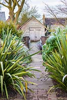Phormium tenax 'variegata' and Melianthus major and Phormiums in The Summerhouse Garden at Wollerton Old Hall Garden, Shropshire