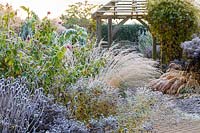 The Lanhydrock Garden at Wollerton Old Hall Garden, Shropshire - Planting includes: Rosa 'Frensham', Molinia 'Heidebraut', and Jasminum beesianum on the gazebo.