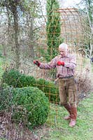 Putting up a rose arbour made from wire mesh steel rebar