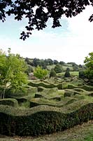 Topiary waves interspersed with grasses at Grendon Court, Herefordshire, UK. 