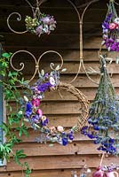 Bunches of dried blue and pink flower bunches and wreath displayed hanging on decorative metal frame