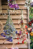 Bunches of dried flowers displayed hanging on decorative metal frame