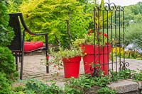 Paving stone patio with black wicker chair and red planter with red Pelargonium - Geranium, Canna - Indian Shot flowers, Rhus typhina 'Tiger Eyes' - Sumac tree, Ampelopsis - Virgin vines at base of wrought iron trellis in backyard garden