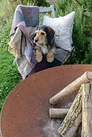 Lottie the dog, a terrier crossed with a spaniel, waiting on a wooden seat with a snowdrop cushion for the Fire Pit to be lit.