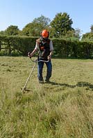 Man strimming long grass where a lawn was left to grow into a meadow. He is wearing protective head gear and ear defenders. 