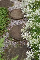Circular paving stones lined with saxifrage