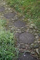 Circular paving stones 